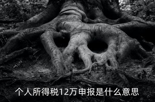 申報(bào)個(gè)稅是什么意思，12萬(wàn)以上個(gè)人所得稅申報(bào)是什么意思