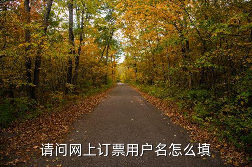 預(yù)約發(fā)票用戶名是什么，開(kāi)票客戶名稱是指