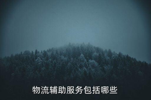 物流輔助服務(wù)費(fèi)是什么，物流輔助費(fèi)的銷項(xiàng)稅金繳納城建稅及附加