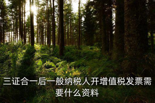 三證合一后刻發(fā)票章需要帶什么資料，三證合一后刻發(fā)票章需要提供什么資料