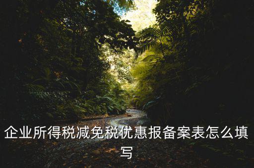 什么是稅收優(yōu)惠備案表，企業(yè)所得稅優(yōu)惠備案表填寫(xiě)急