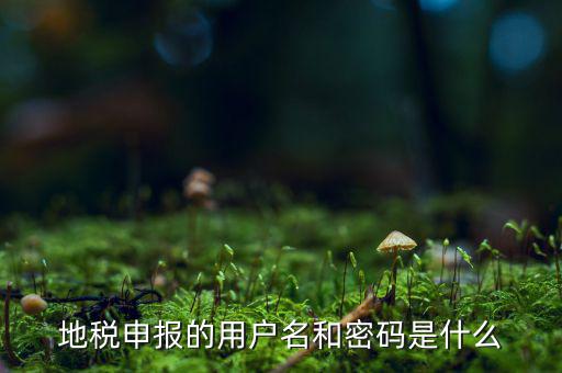 杭州地稅用戶名是什么意思，地稅的用戶名是什么