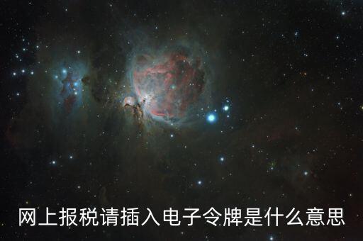 報(bào)稅數(shù)字證書口令是什么意思，網(wǎng)上報(bào)稅請(qǐng)插入電子令牌是什么意思