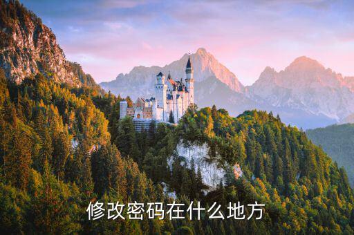 國稅網(wǎng)站更改密碼在什么地方，修改密碼在什么地方