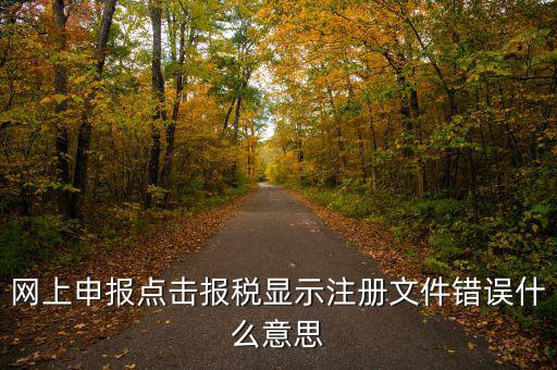 網(wǎng)上申報(bào)點(diǎn)擊報(bào)稅顯示注冊(cè)文件錯(cuò)誤什么意思