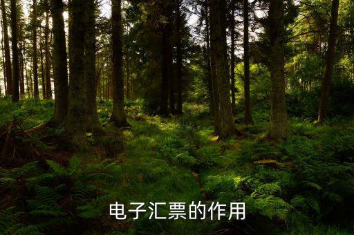 電子發(fā)票作用是什么，電子發(fā)票系統(tǒng)能做什么用