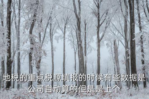 為什么重點(diǎn)稅源是上個(gè)月的數(shù)據(jù)，地稅的重點(diǎn)稅源填報(bào)的時(shí)候有些數(shù)據(jù)是公司自動(dòng)算的但是是上個(gè)