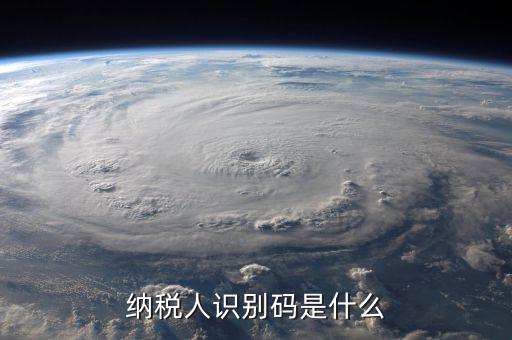 納銳人識(shí)別號(hào)是什么，納稅人識(shí)別碼是什么