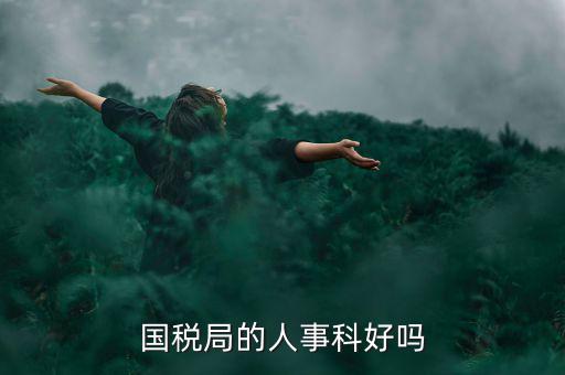 國稅人事科做什么，縣國稅局的人事歸哪里管基層分局的級別