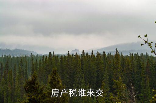 房產(chǎn)稅誰來交