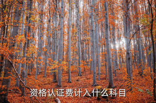 認(rèn)證服務(wù)費(fèi)什么，申請微信公眾賬號認(rèn)證服務(wù)費(fèi)什么意思