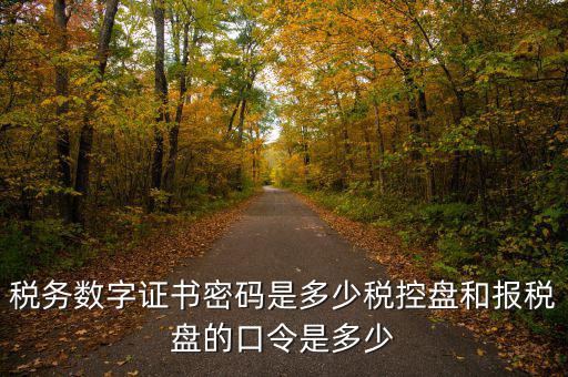 寧波國(guó)稅ca密碼是什么，寧波市電子稅務(wù)局登陸密碼