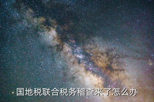 國地稅聯(lián)合稽查是什么意思，國地稅聯(lián)合稅費申報什么意思