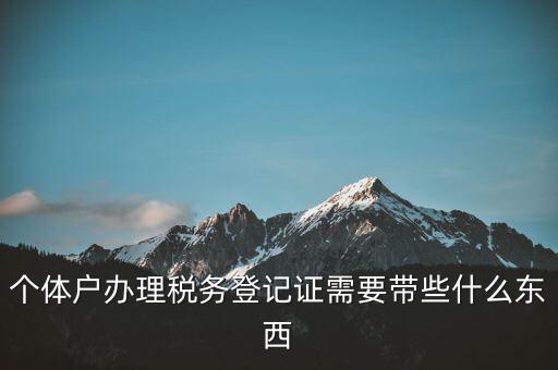 個體稅務登記證需要什么材料，個體戶辦理稅務登記證需要帶些什么東西