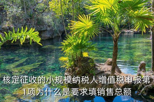 為什么要填增值稅申報(bào)，為什么公司老是要申報(bào)稅