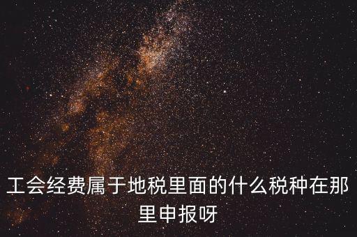 工會經(jīng)費(fèi)屬于地稅里面的什么稅種在那里申報呀