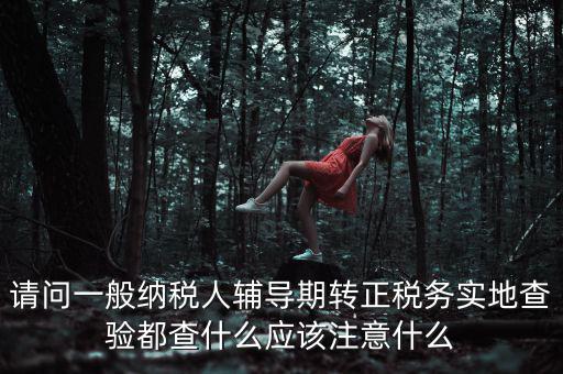 請問一般納稅人輔導(dǎo)期轉(zhuǎn)正稅務(wù)實(shí)地查驗(yàn)都查什么應(yīng)該注意什么