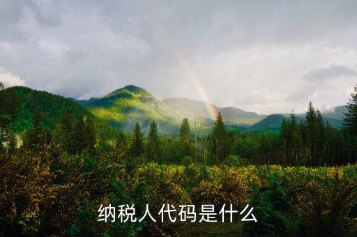 個(gè)人納稅人代碼是什么，納稅人代碼是什么