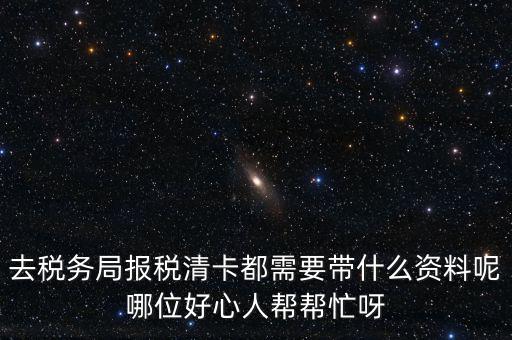 打稅務(wù)清單需要帶什么，我是個體商戶營業(yè)執(zhí)照掉了想去打印一份稅務(wù)清單需要帶些什么
