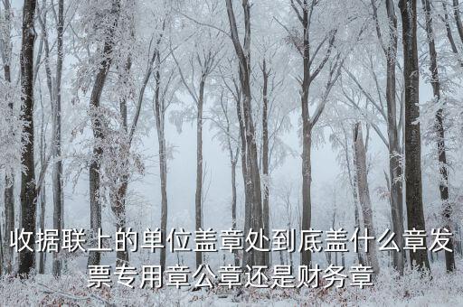 收據(jù)蓋章蓋是什么樣，收據(jù)上蓋什么章