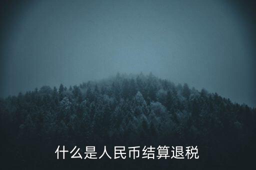 匯算結(jié)算退稅是什么，什么是人民幣結(jié)算退稅