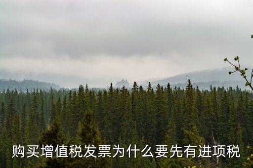 為什么要買進(jìn)項(xiàng)票，購(gòu)買增值稅發(fā)票為什么要先有進(jìn)項(xiàng)稅
