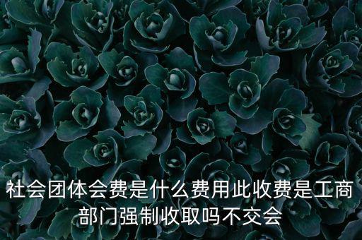 社會(huì)團(tuán)體會(huì)費(fèi)是什么費(fèi)用此收費(fèi)是工商部門強(qiáng)制收取嗎不交會(huì)