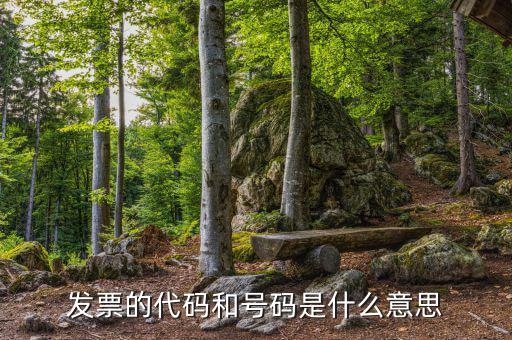 發(fā)票的代碼和號碼是什么意思
