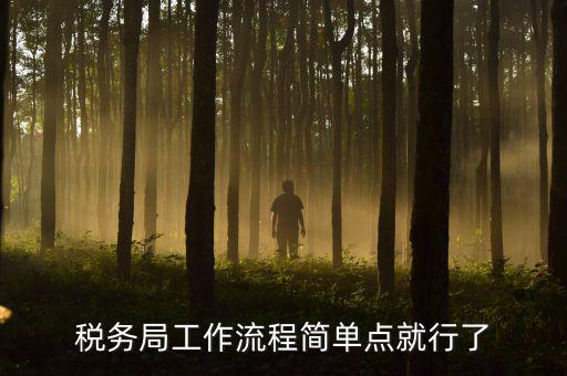 稅務(wù)局上班要什么手續(xù)，稅務(wù)局工作流程簡單點就行了