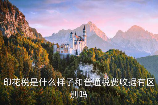 稅花什么樣，印花稅是什么樣子和普通稅費收據(jù)有區(qū)別嗎