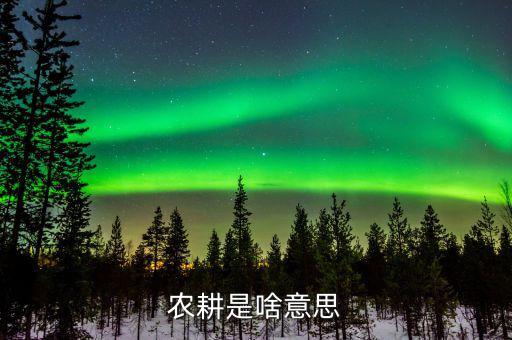 農(nóng)業(yè)機(jī)耕是什么意思，東機(jī)耕是什么