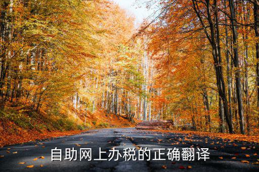 自助網(wǎng)上辦稅的正確翻譯