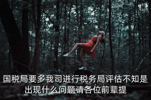 國稅評估局是干什么的，國稅局是做什么的說簡單點兒吧謝謝