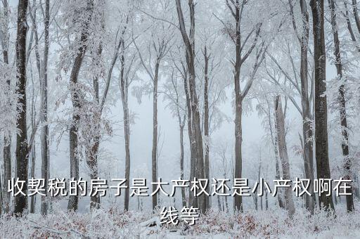 收契稅的房子是大產權還是小產權啊在線等