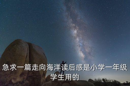 我的文明雷電過有什么關系，急求一篇走向海洋讀后感是小學一年級學生用的