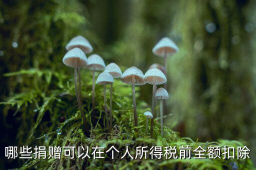 什么捐贈(zèng)可以稅前扣除，求助企業(yè)在所得稅前可以扣除的捐贈(zèng)支出