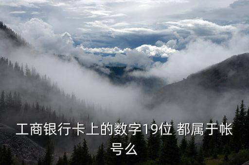 工行19位賬號(hào)應(yīng)用號(hào)是什么，請(qǐng)解釋工商銀行19位帳號(hào)的組成含義