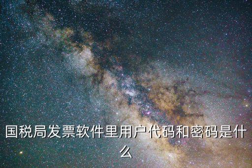 發(fā)票認證平臺登錄密碼是什么情況，國稅局發(fā)票軟件里用戶代碼和密碼是什么