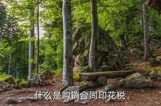 什么是購銷合同印花稅