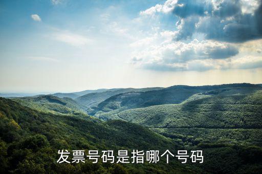 什么是發(fā)票的查詢號(hào)，發(fā)票號(hào)碼是指哪個(gè)號(hào)碼