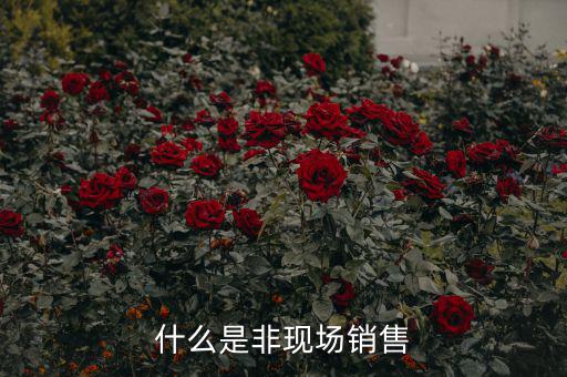 什么是非現(xiàn)場(chǎng)消費(fèi)食品，什么是非現(xiàn)場(chǎng)消費(fèi)的食品