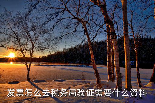 到稅務局認證發(fā)票需要帶什么，去稅務局認證發(fā)票需要帶什么資料呢