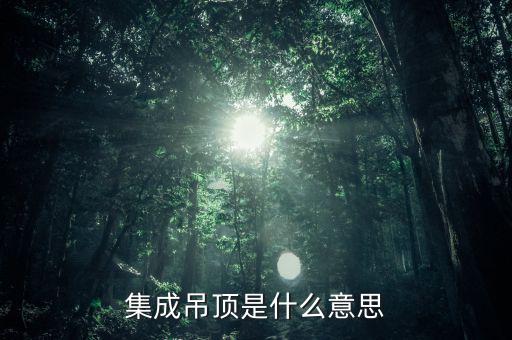 集成理念是什么意思，家居集成服務(wù)理念有何不同