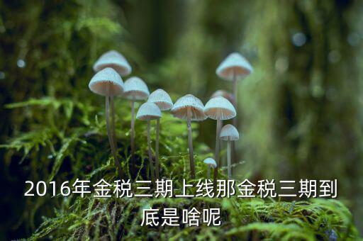 金稅三期雙軌是什么，金稅三期是什么意思