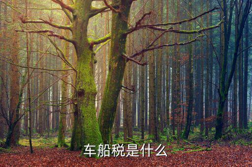 摩托車車船稅是什么，摩托車也收車船稅嗎
