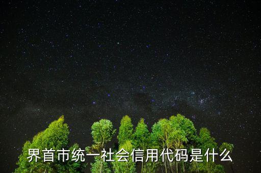 統(tǒng)一社會(huì)信用代碼指什么，深圳碼統(tǒng)一社會(huì)信用代碼是什么
