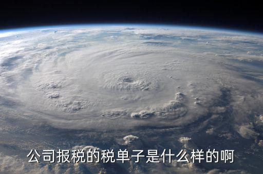 稅務(wù)清單是什么樣的，公司報稅的稅單子是什么樣的啊
