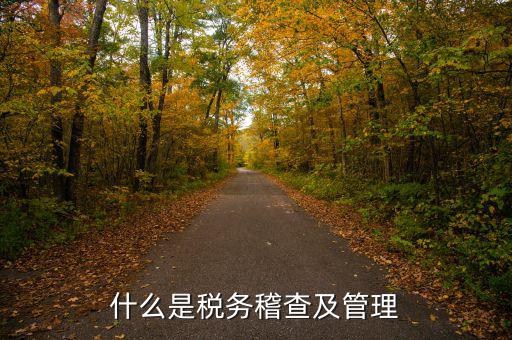 什么是稅務稽查及管理