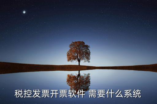 稅務(wù)開票系統(tǒng)都有什么，什么是開票系統(tǒng)小規(guī)模納稅人有裝開票系統(tǒng)嗎在線等謝謝