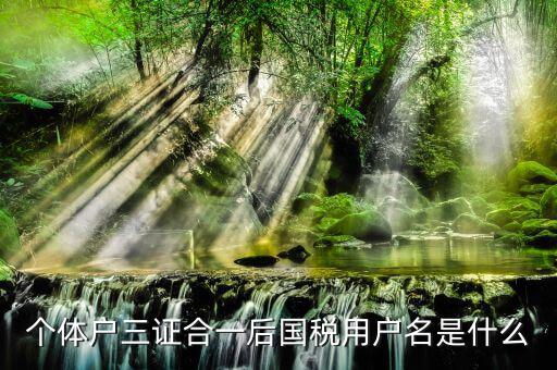 三證合一叫什么名字，個(gè)體戶三證合一后國(guó)稅用戶名是什么